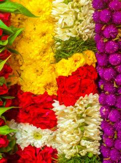 Garlands of multi-coloured flowers for asian wedding