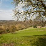 The views of the Yorkshire countryside from Mercure Bradford Bankfield Hotel